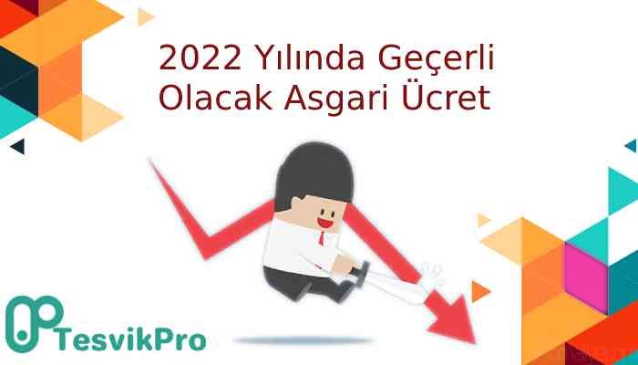 2022 Yılında Geçerli Olacak Asgari Ücret